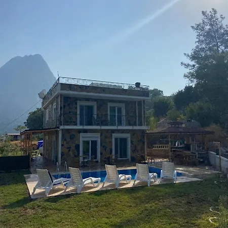 Yakamoz * Hacisekililer